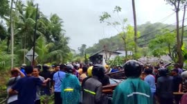 Swiss tourist seriously injured in freak accident when tree falls on car in Bali