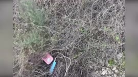 Spain: Illegal Wildlife Trade Busted in Málaga with 17 Protected Species Seized