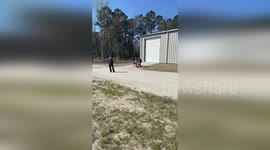 US: Mischievous Goat Frees Kangaroo In South Carolina