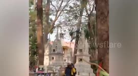 Six injured when crazed bees attack worshippers at temple in Thailand