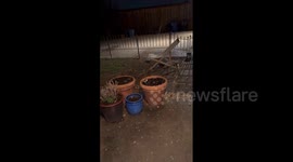 US: Hail Pelts DFW Area in Texas Amid Severe Thunderstorm Warning 4