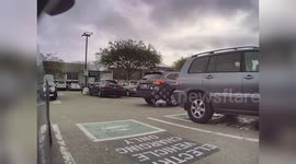 Tesla daubed in graffiti while driver visits Whole Foods