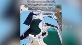 Drone footage exposes shocking living conditions of dolphins at Florida park