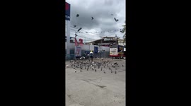 Motorcycle rider pulls over to feed pigeons with bag of grains