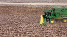 Cotton stripper harvesting in rural west Texas fields among oil pumps and wind turbines