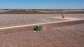 Cotton stripper harvesting in rural west Texas fields among oil pumps and wind turbines