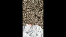 His Spidey Senses Were Tingling