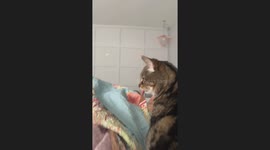 Mimi Makes the Biggest Bleps