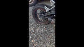 Motorcycle Pops Corn Kernels Hidden By Animals