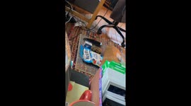 Tortoise Tries To Eat Fruit Pictured On Packaging