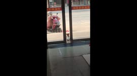 Puppy adorably begs for food at the doorstep in Fujian, China