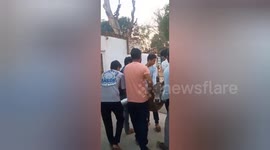 Calf injured in collision with truck arrives at hospital for treatment