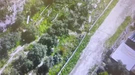 Israel: Suspect arrested in attempted car crash