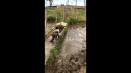 Child jumps and plays in muddy water in Buenos Aires