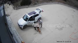 Dog jumps into cage carrier by itself in Jilin, China