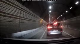 Escaped cow charges through road tunnel in South Korea