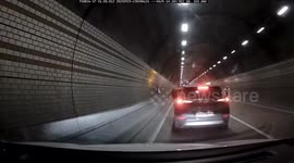 Escaped cow charges through road tunnel in South Korea