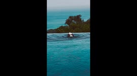 Eagle visits luxury hotel to play in its swimming pool