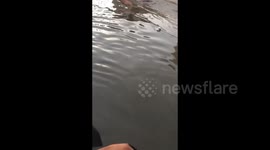 Nigeria: Heavy rain causes severe flooding in Ikeja