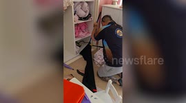 World's second-most venomous snake caught slithering around girl's bedroom