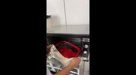 Fish Baking Fail Leaves Lid Melted