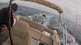 Towed Kayaker Loses All His Fishing Gear