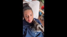 kookaburra gives permission to be pet