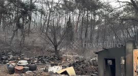 South Korea: South Korea battles worst-ever wildfires as casualties rise