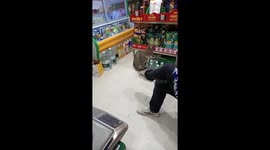 Cat sits comfortably on a raised foot