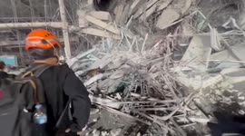 Earthquake rescue teams use sniffer dogs to search rubble of collapsed building