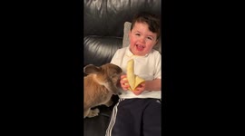 Boy Shares Banana With Bunny