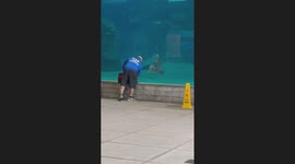 Dolphin Fascinated By Vacuum
