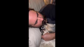 Puppy Plays With Owner's Mustache