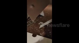 Thailand: Powerful Earthquake Damages Buildings in Bangkok