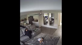 Toddler’s insane water bottle flip lands 70 million views on Instagram