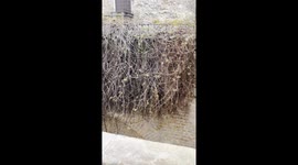 Juliet’s balcony: “Unlock the Secret Romance of Casa di Giulietta’s Balcony – You’ll Wish You’d Seen This Sooner!”