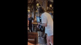 Swarm of Moths Emerge From Tree Trunk in Restaurant