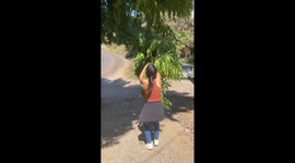 Tree Swing Fail