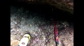 Hidden cave in Kapoho once held fish, now buried by 2018 lava flow