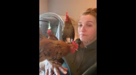 Woman mimics chicken sound as pets join in Washington, USA