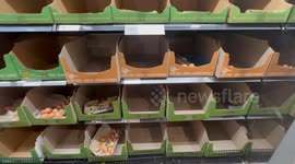 Egg shortage continues in Sydney, Australia