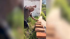 Man smashes over 100 bricks with his bare fist
