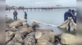 Russian officials continue oil spill cleanup in Kerch