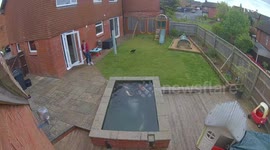 Carp jumps out of outdoor aquarium, startling woman in Wiltshire, England, UK