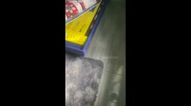Mouse jumps on woman's leg, making her leap from chair in Durán, Ecuador