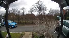 Cat reaches out to owners before being chased by dogs in Bracknell