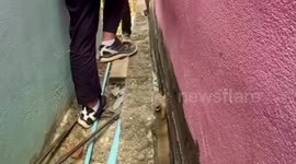 Rescue team saves trapped dog from narrow gap