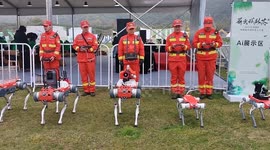 China: Fire Fighting Intelligent Robot Dog