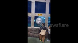 China: The Beluga Whale Scares the Little Boy