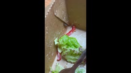 Cafe customer horrified to find live SLUG in his salad
